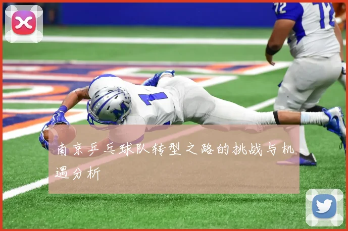 南京乒乓球队转型之路的挑战与机遇分析