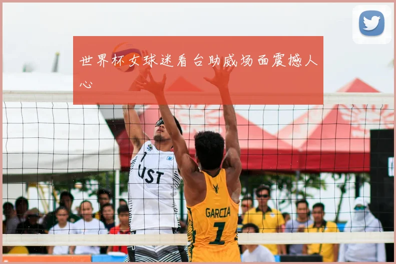 世界杯女球迷看台助威场面震撼人心