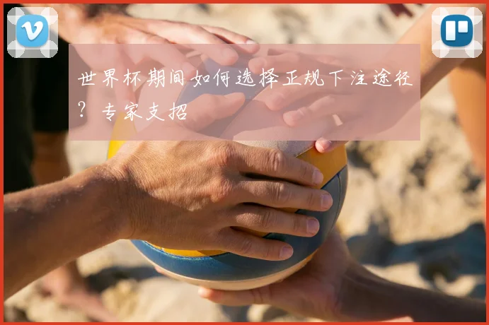 世界杯期间如何选择正规下注途径？专家支招