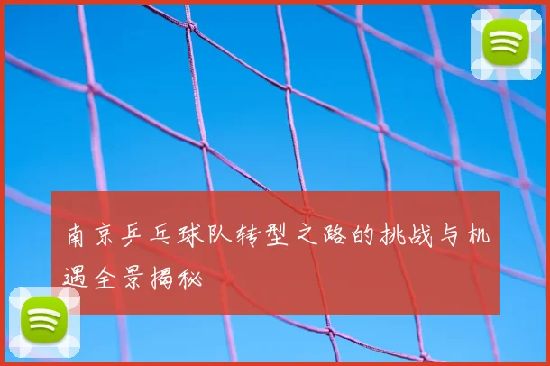南京乒乓球队转型之路的挑战与机遇全景揭秘