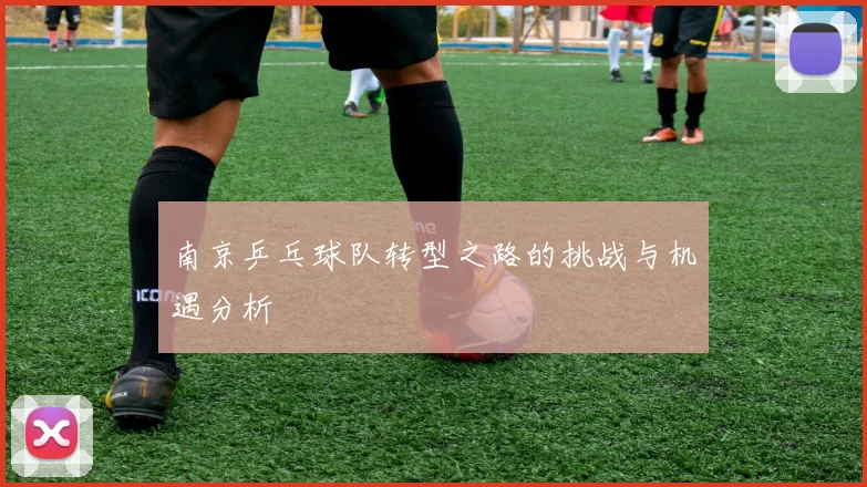 南京乒乓球队转型之路的挑战与机遇分析