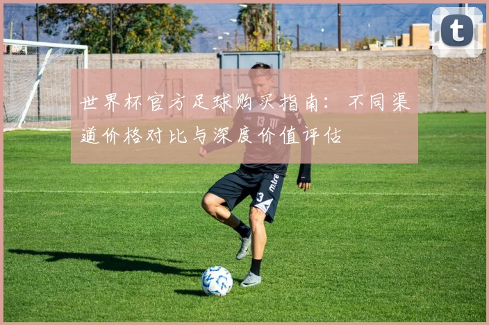 世界杯官方足球购买指南：不同渠道价格对比与深度价值评估