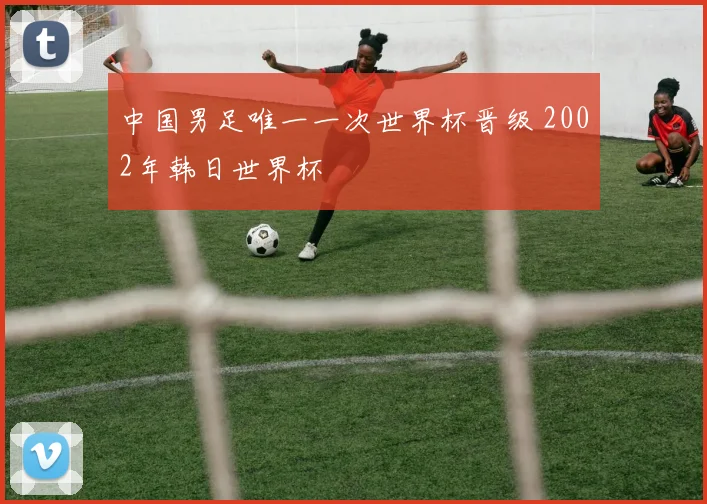 中国男足唯一一次世界杯晋级 2002年韩日世界杯