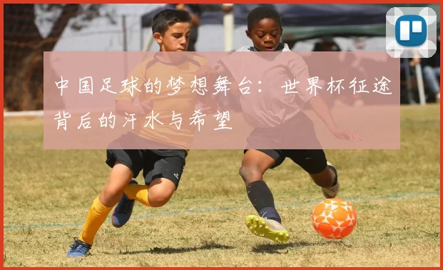 中国足球的梦想舞台:世界杯征途背后的汗水与希望