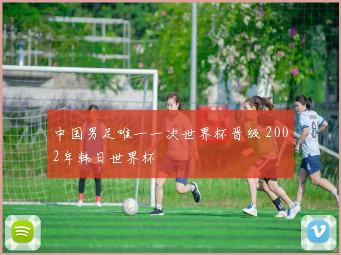 中国男足唯一一次世界杯晋级 2002年韩日世界杯