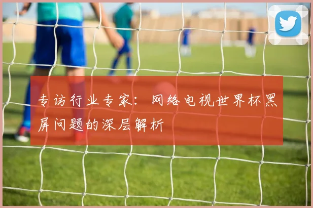 专访行业专家：网络电视世界杯黑屏问题的深层解析