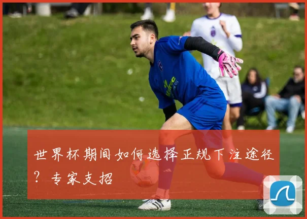 世界杯期间如何选择正规下注途径？专家支招
