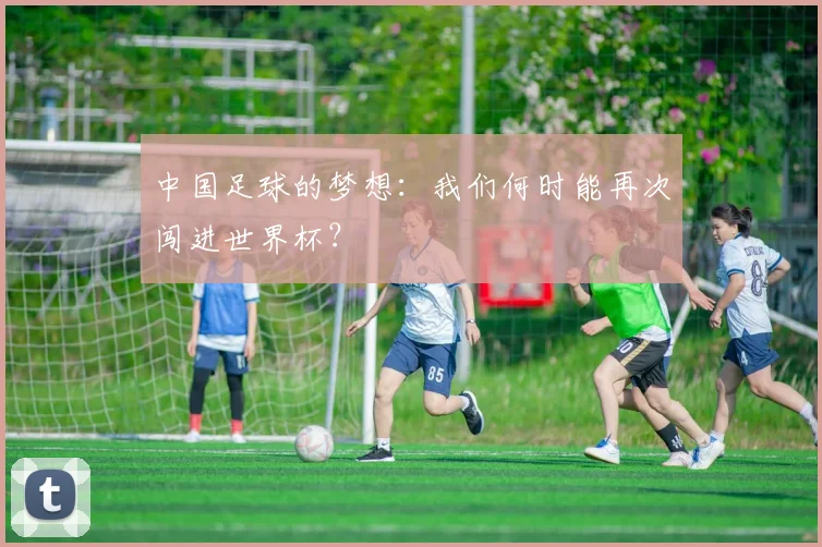 中国足球的梦想:我们何时能再次闯进世界杯?
