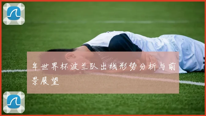 年世界杯波兰队出线形势分析与前景展望