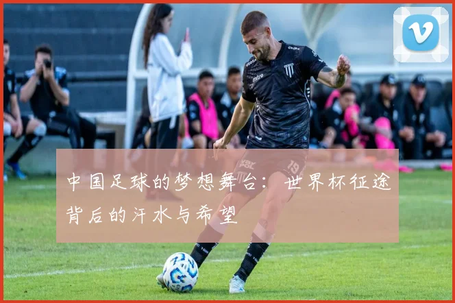 中国足球的梦想舞台:世界杯征途背后的汗水与希望