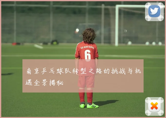 南京乒乓球队转型之路的挑战与机遇全景揭秘